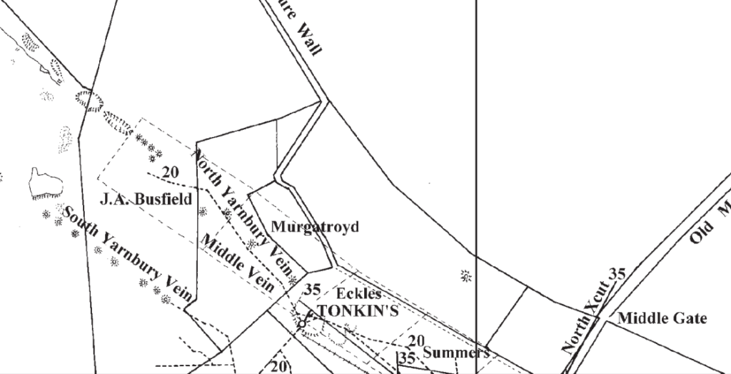 Tonkin’s Mine The Grassington Mines Appreciation Group